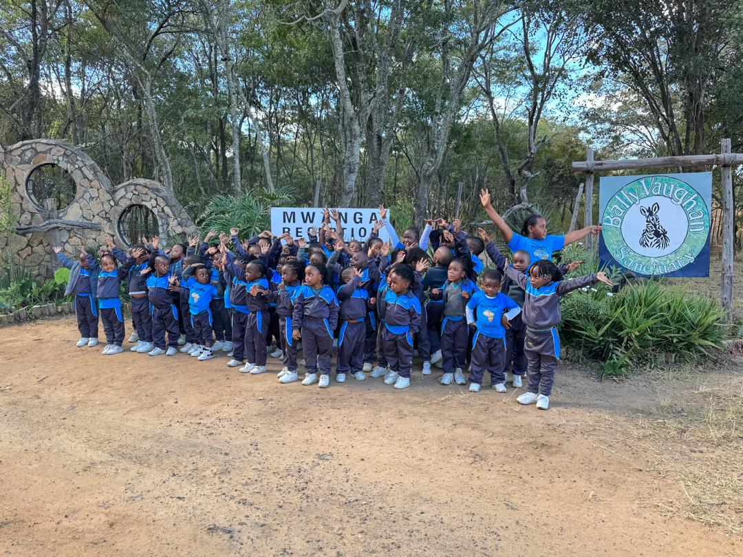 Harmony Junior School